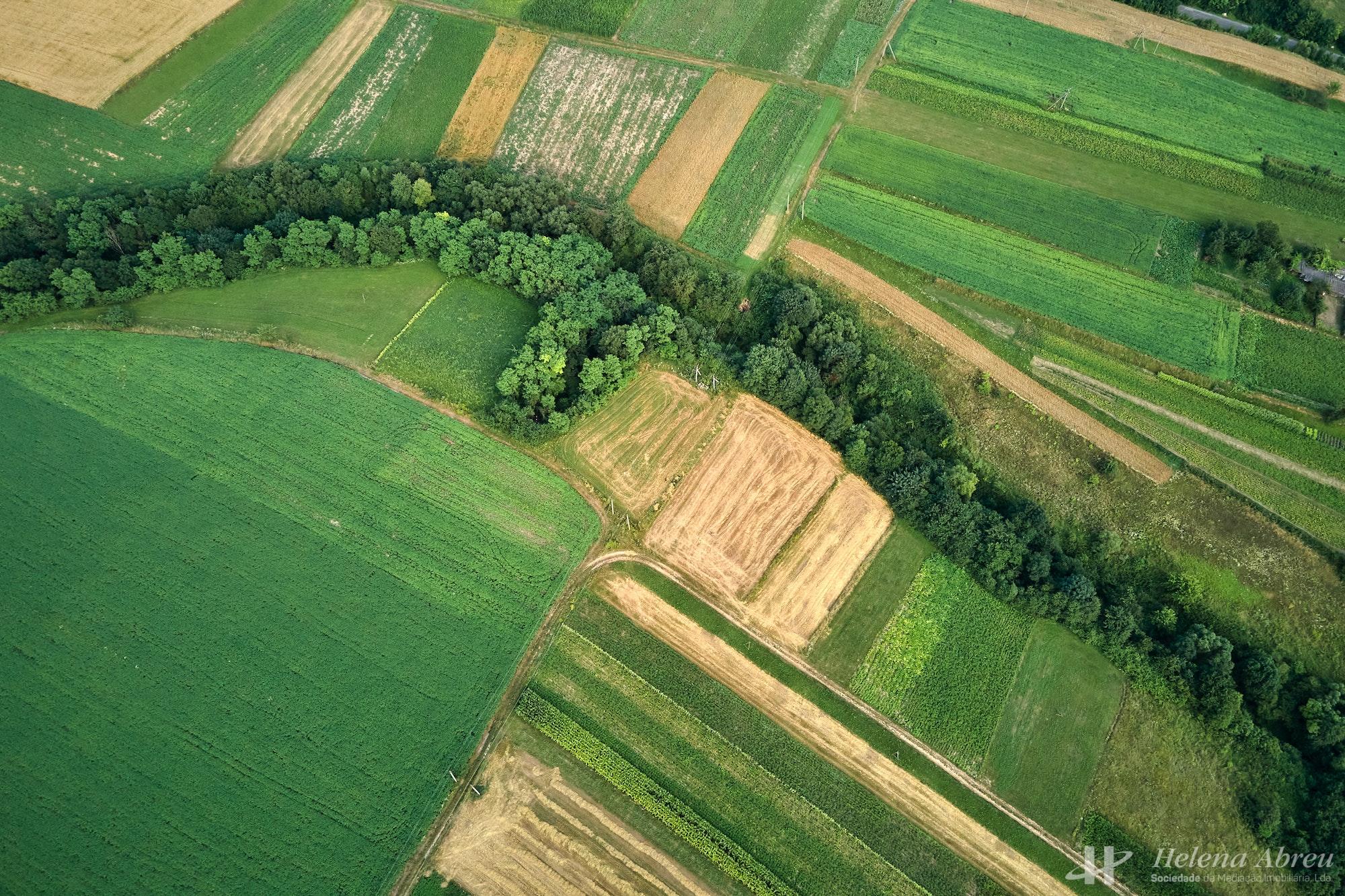 Aerial landscape view of green and yellow cultivated agricultural fields with growing crops